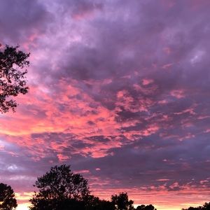 Meet your Posher, Ross